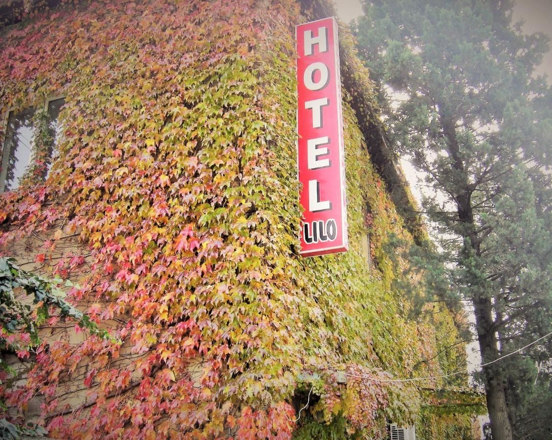 Отель Hotel Lilo near Airport Тбилиси-34