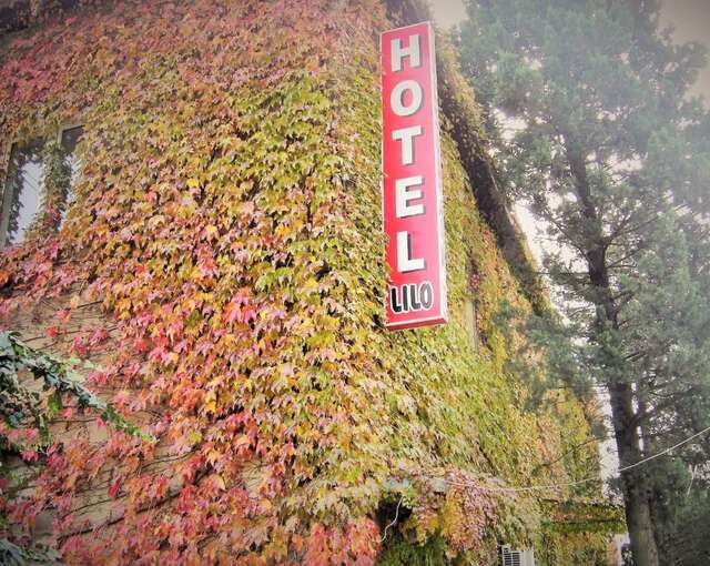 Отель Hotel Lilo near Airport Тбилиси-33
